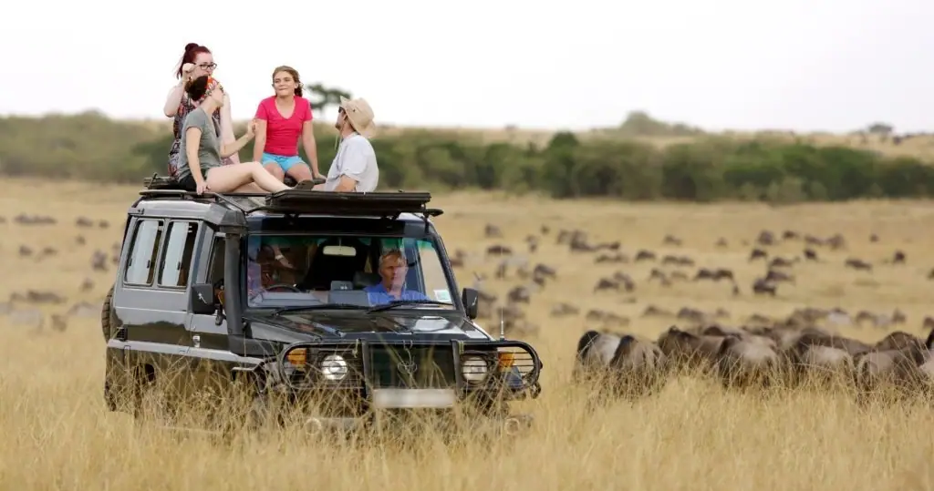 Afternoon Game drive