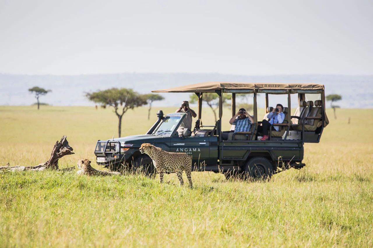 Angama game drives