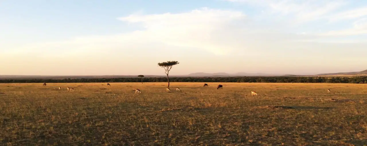 A dry Season in the month of July