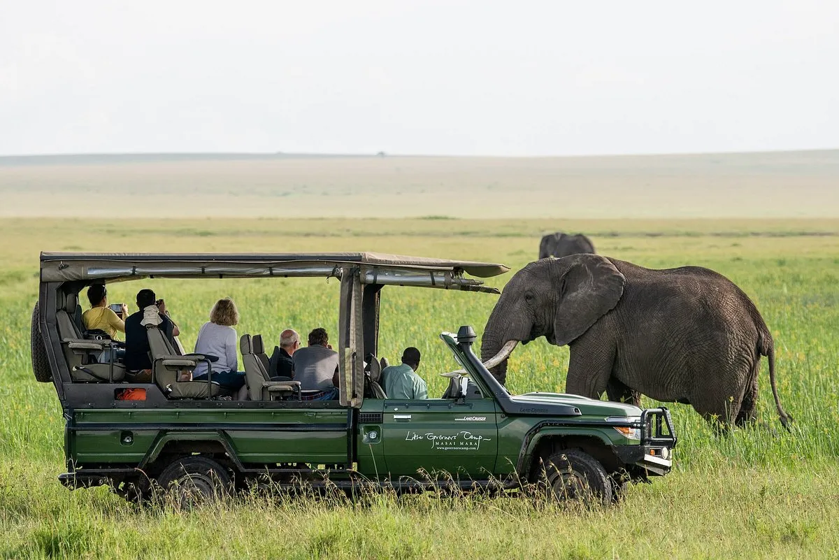 Bateleur Camp game drives