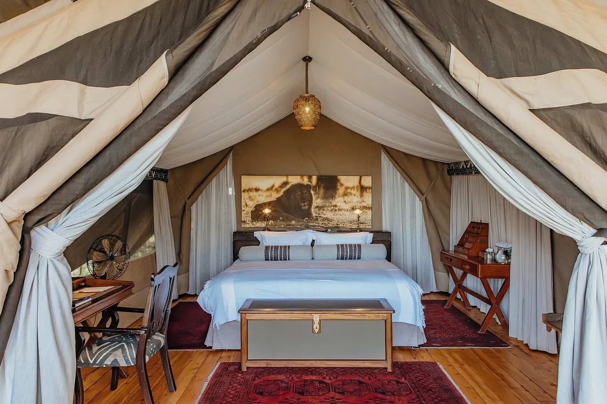 Exquisitely styled room