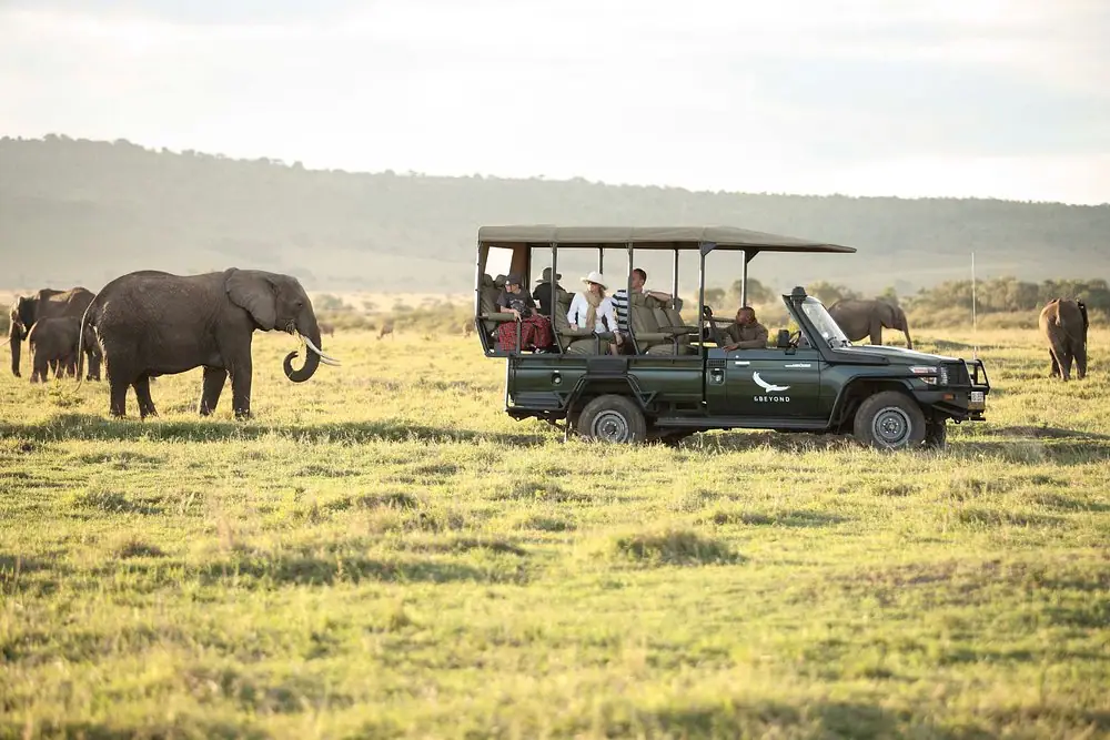 Game drives