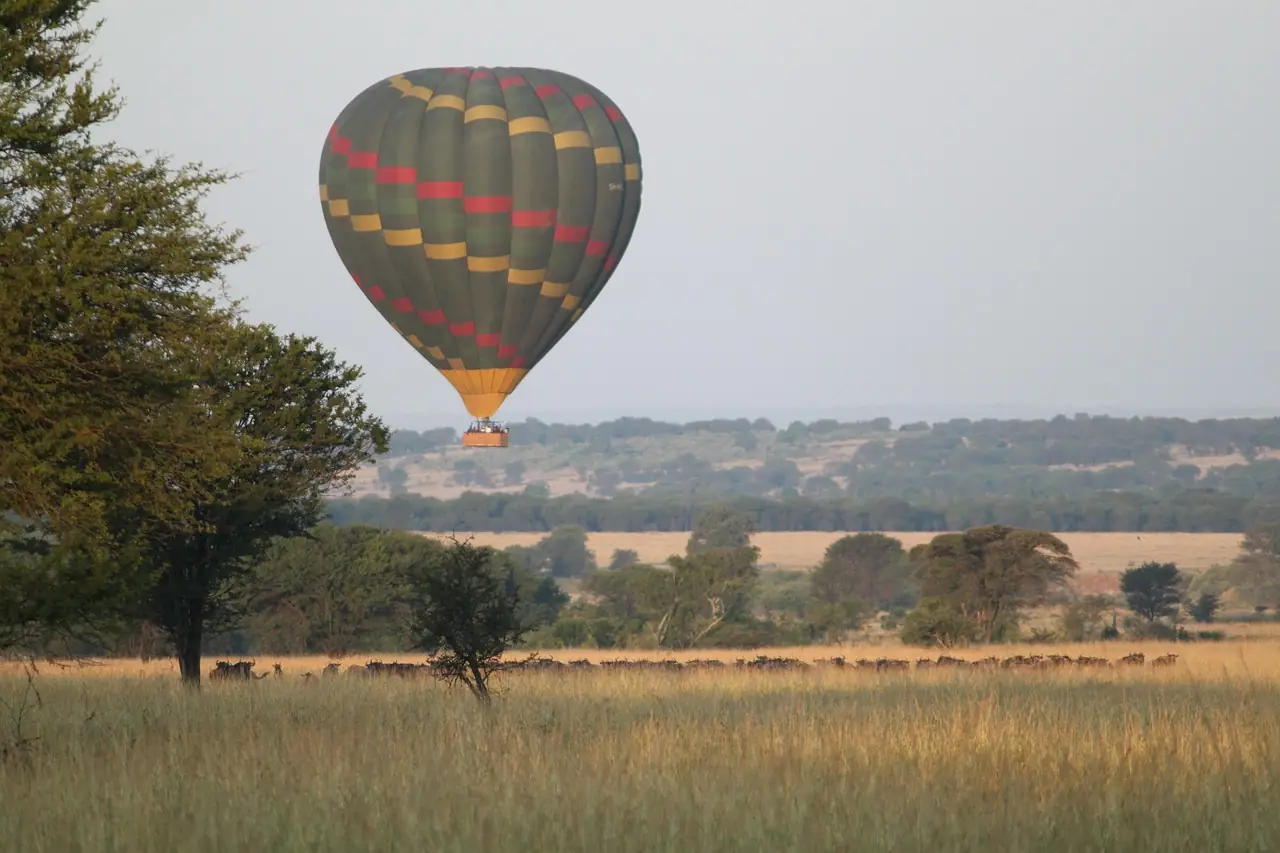 Migration hot air balloon safari